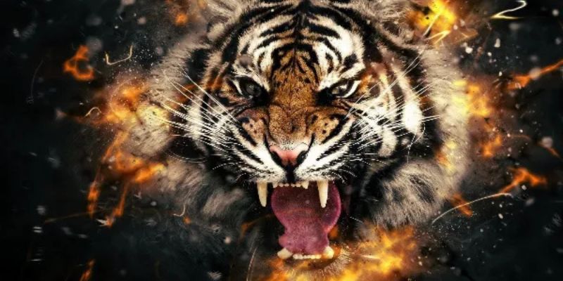 Hình tượng hổ vàng tượng trưng cho cát khí và tài lộc bền vững.